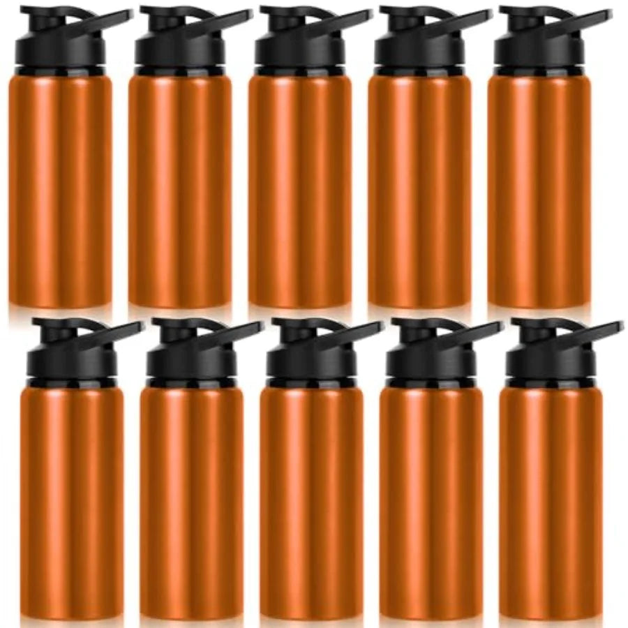 10 Pack Water Bottles Bulk, 20oz Sports Aluminum Water Bottle with Snap Lids Metal Reusable Leak proof Personalized Bottle for