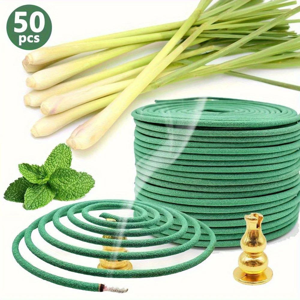 50 Fruit Orange Scented Incense Sticks, Burning Time 3-4 Hours, Suitable for Air Purification, Yoga, Meditation, Work, Fitness, H